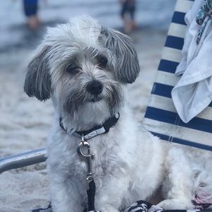 Meet your Posher, Janet